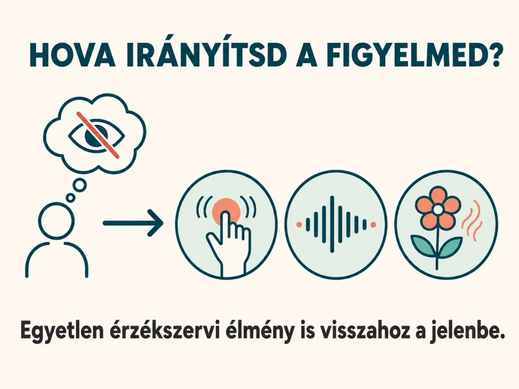 Hogyan fordísd vissza a figyelmed az érzékszerveidre szorongás esetén