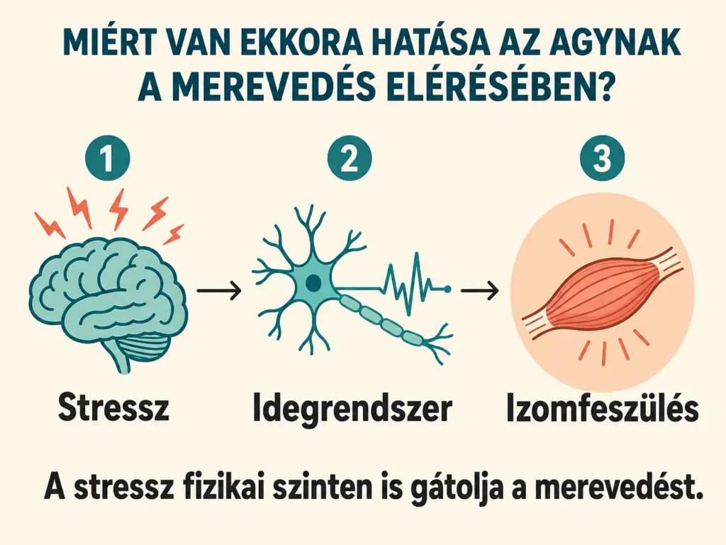 Miért van ekkora hatása a stressznek a potenciára?